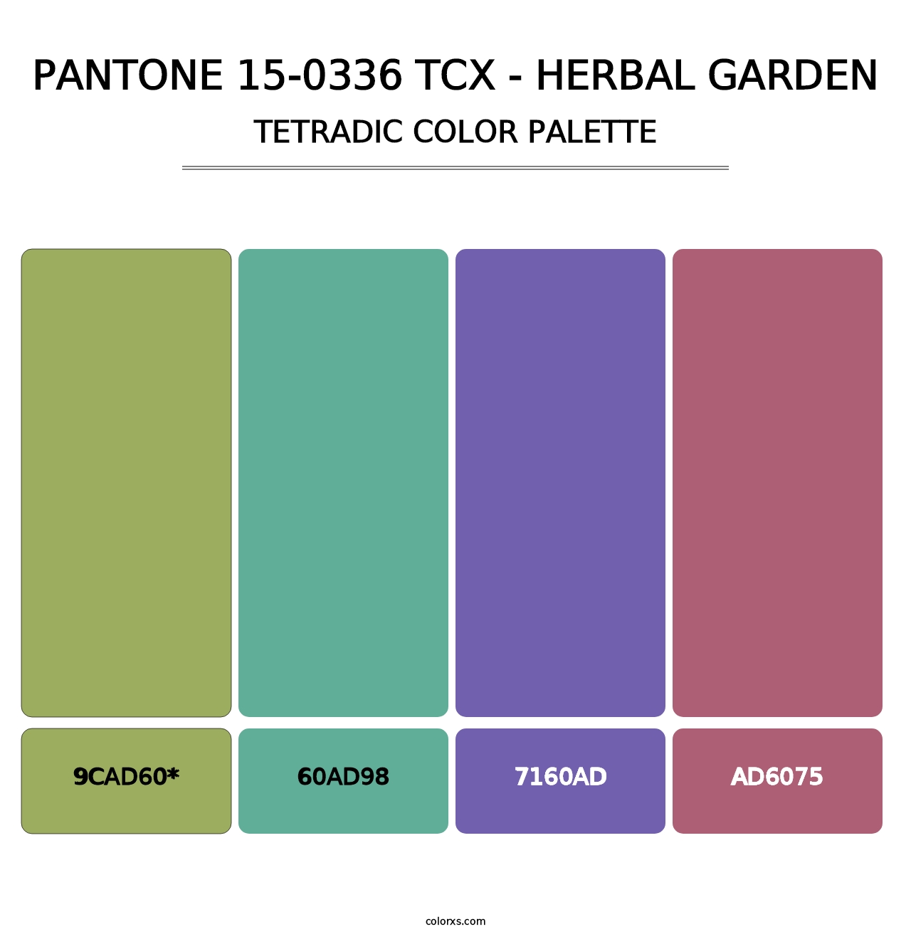 PANTONE 15-0336 TCX - Herbal Garden - Tetradic Color Palette