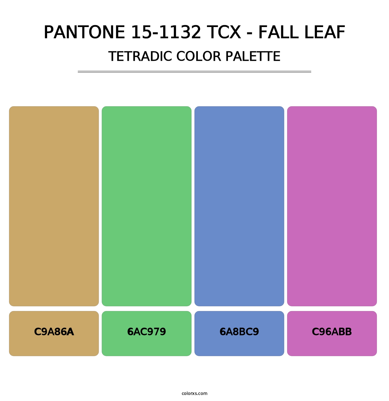 PANTONE 15-1132 TCX - Fall Leaf - Tetradic Color Palette