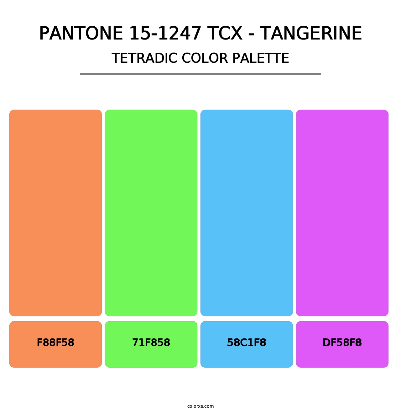 PANTONE 15-1247 TCX - Tangerine - Tetradic Color Palette