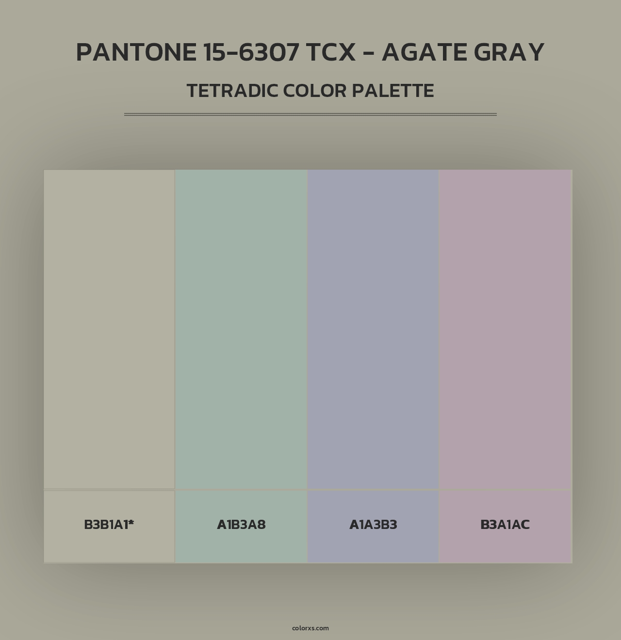 PANTONE 15-6307 TCX - Agate Gray - Tetradic Color Palette