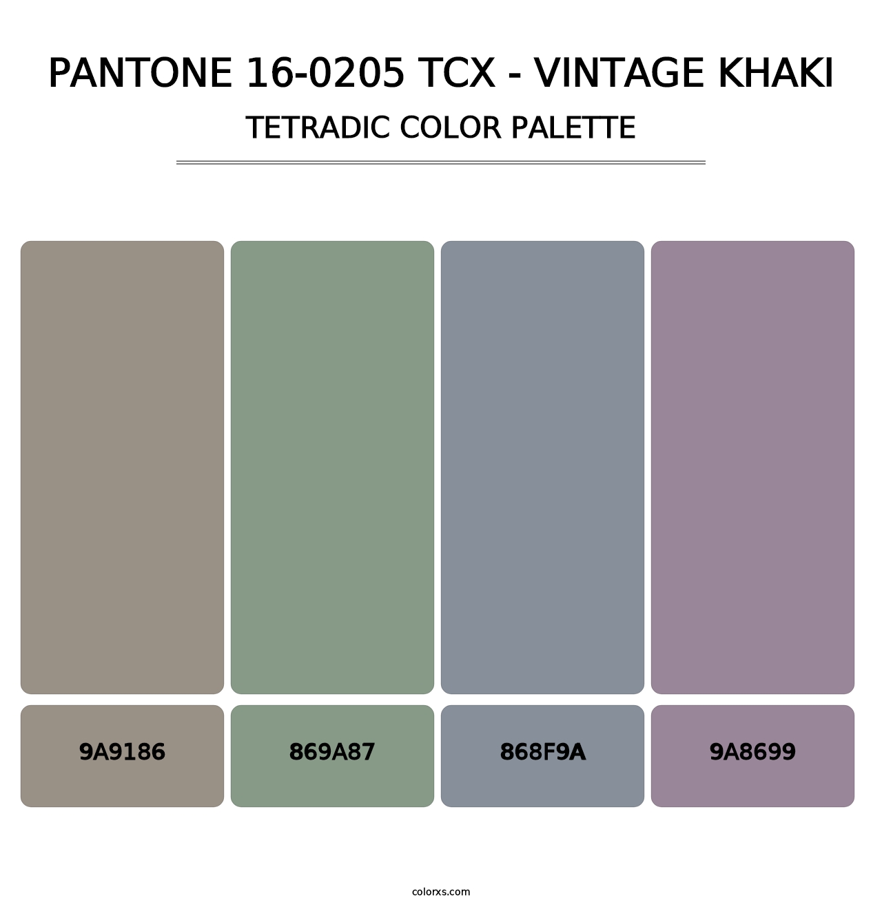 PANTONE 16-0205 TCX - Vintage Khaki - Tetradic Color Palette