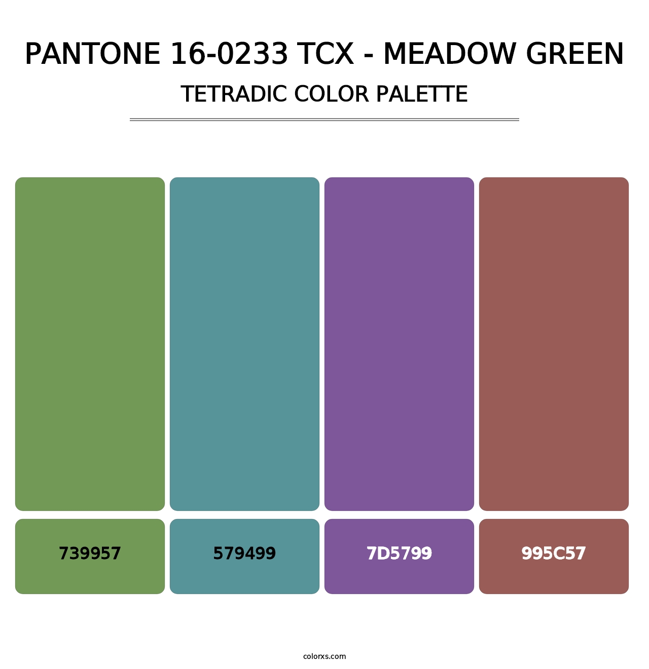 PANTONE 16-0233 TCX - Meadow Green - Tetradic Color Palette
