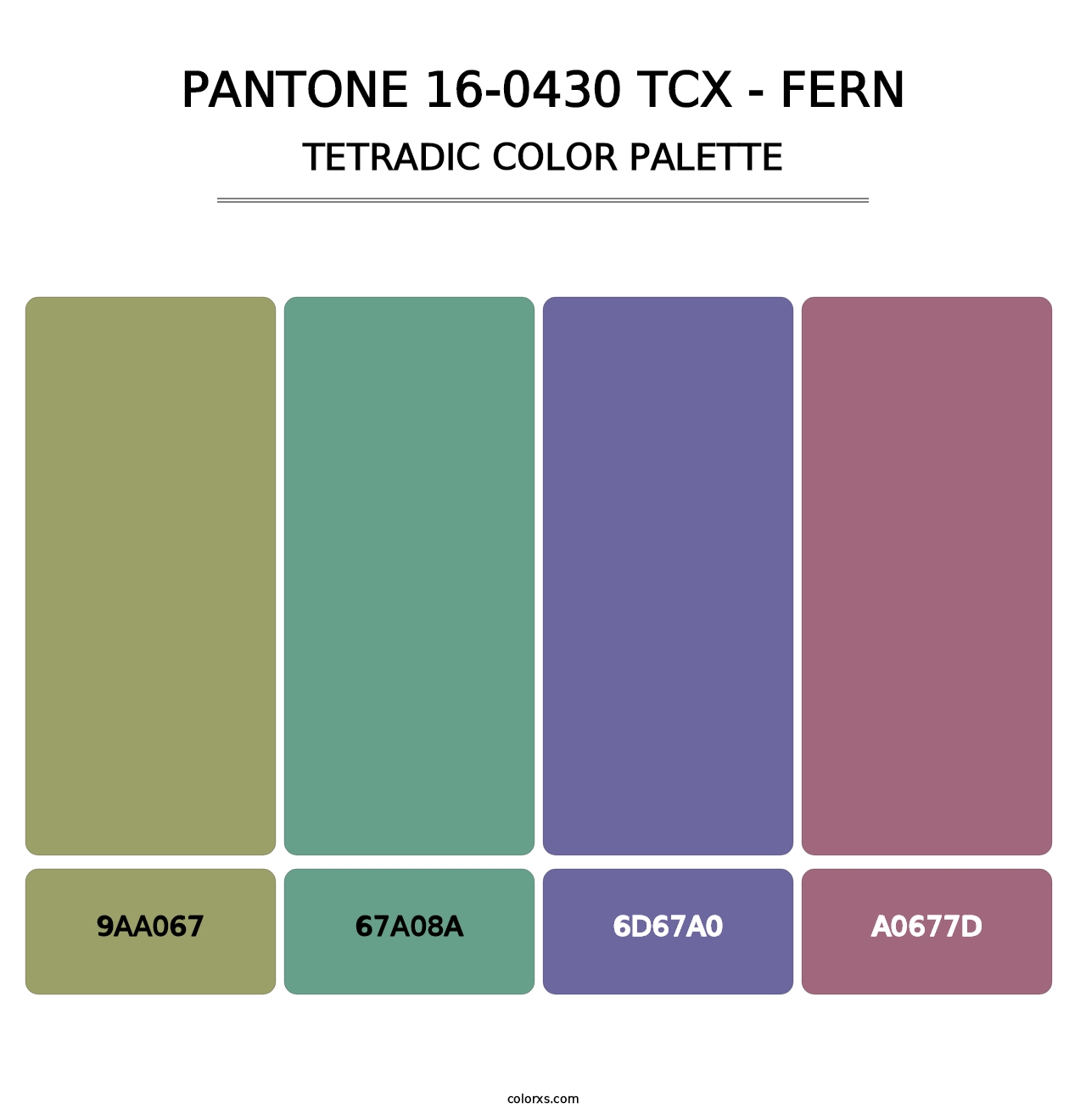 PANTONE 16-0430 TCX - Fern - Tetradic Color Palette