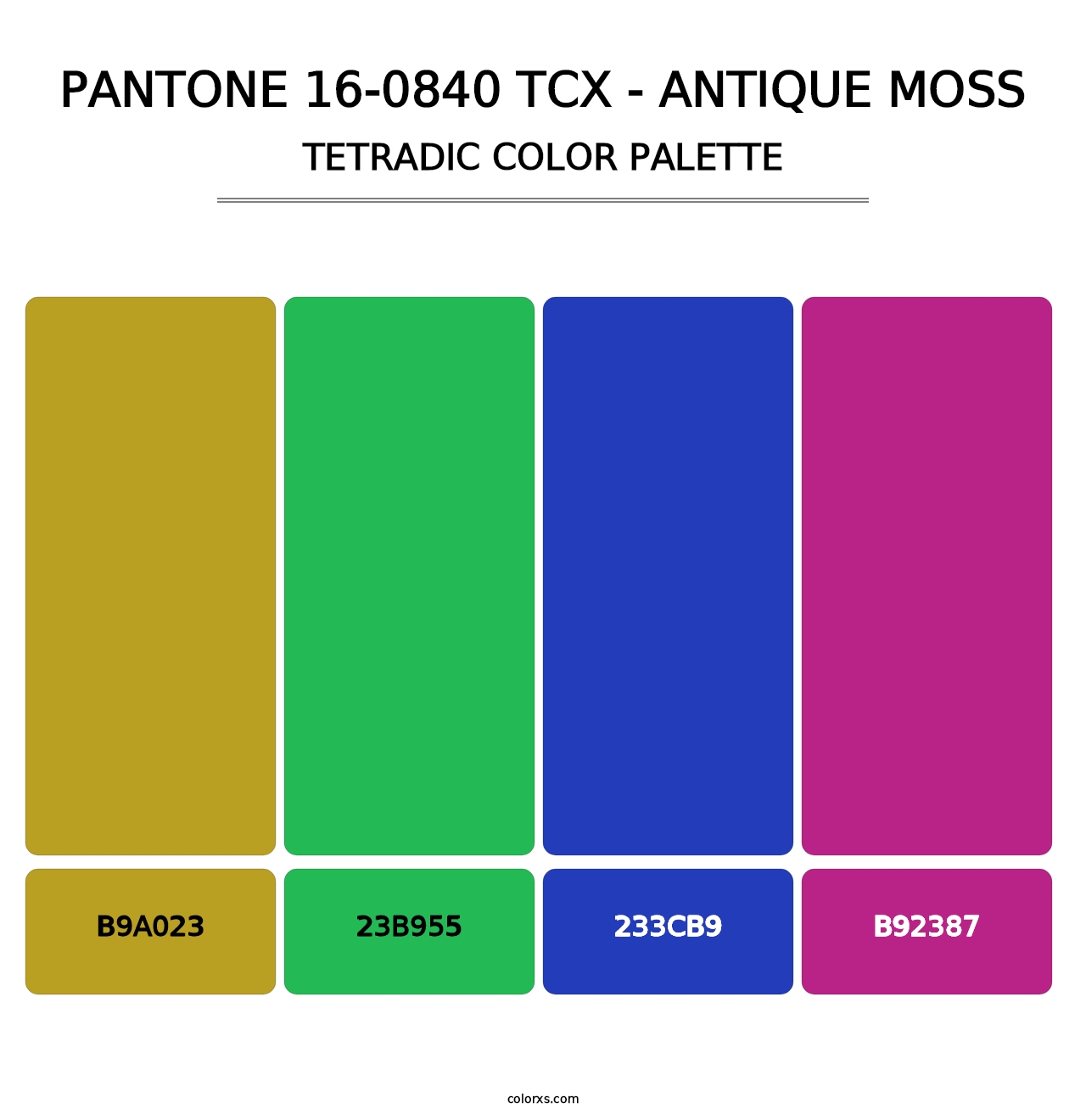 PANTONE 16-0840 TCX - Antique Moss - Tetradic Color Palette