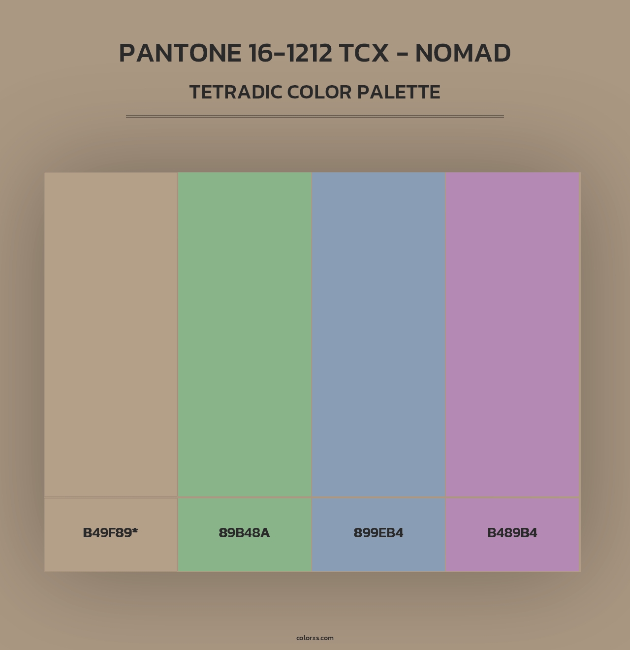 PANTONE 16-1212 TCX - Nomad - Tetradic Color Palette