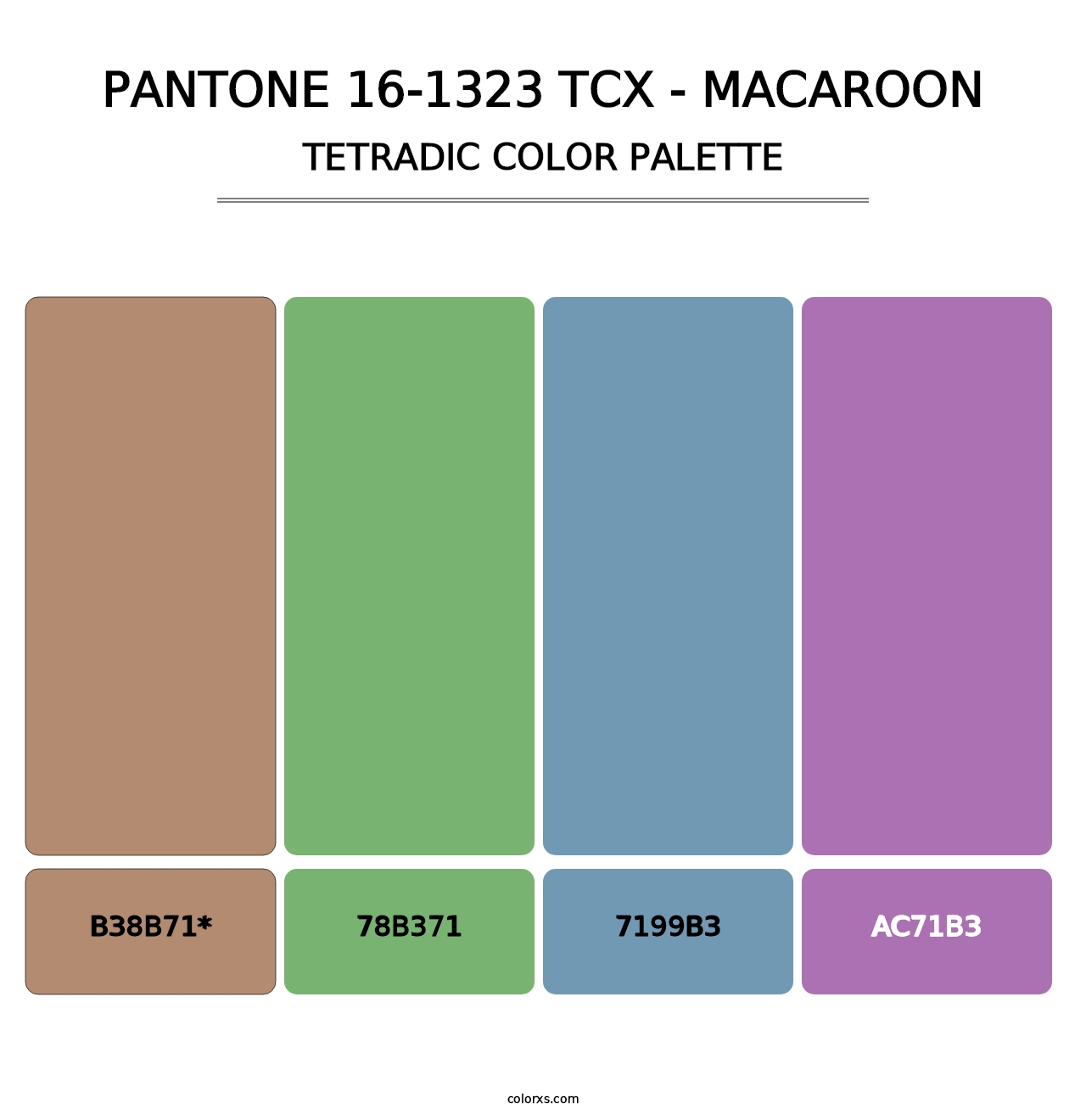 PANTONE 16-1323 TCX - Macaroon - Tetradic Color Palette