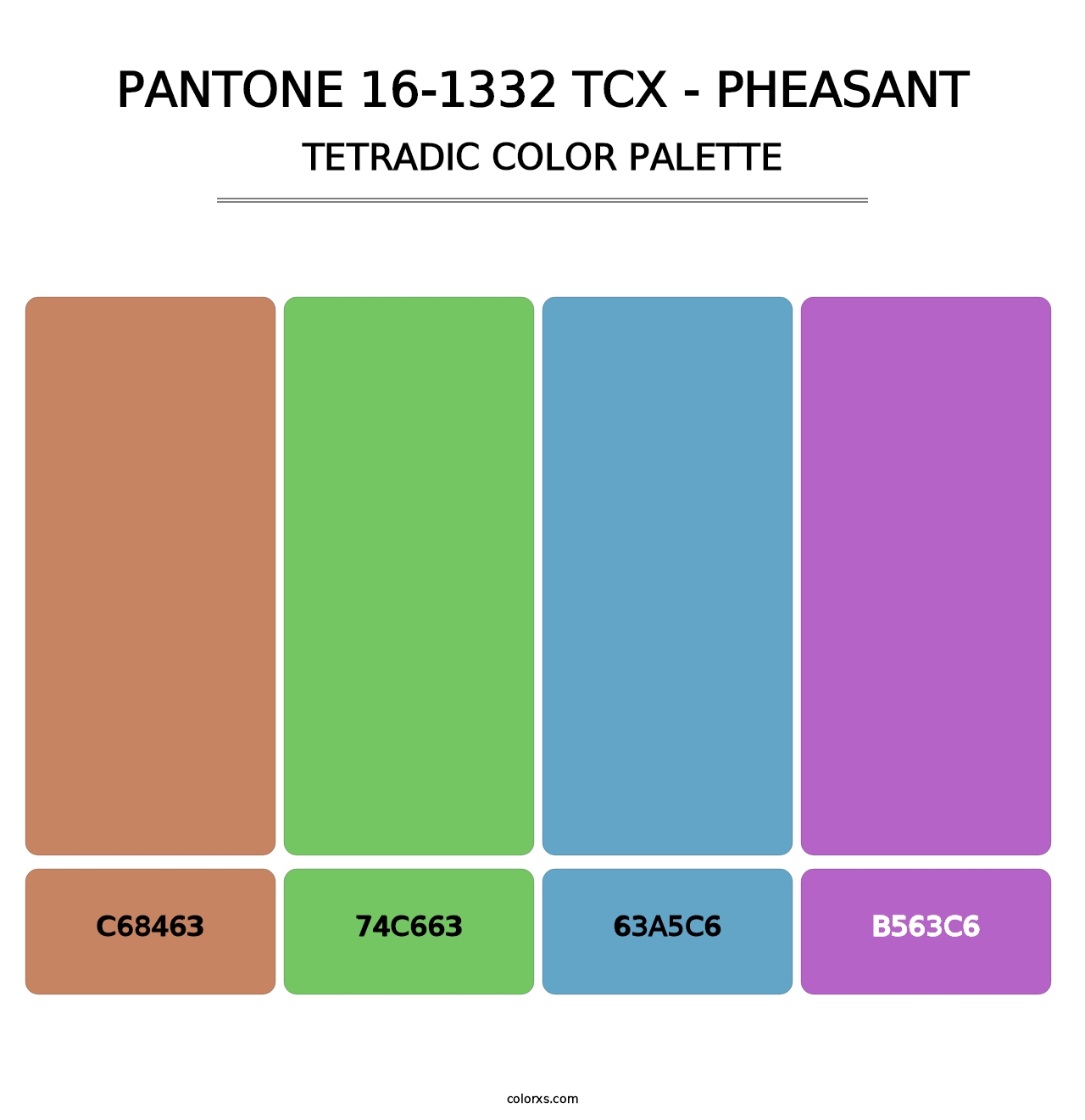 PANTONE 16-1332 TCX - Pheasant - Tetradic Color Palette