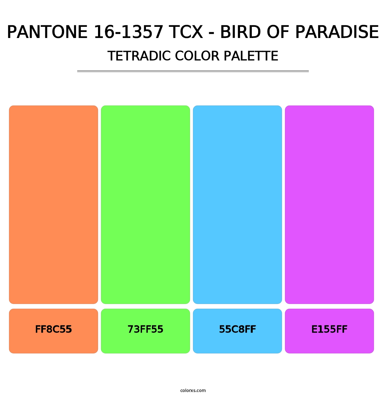 PANTONE 16-1357 TCX - Bird of Paradise - Tetradic Color Palette