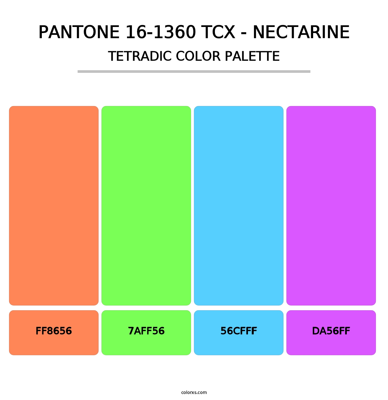 PANTONE 16-1360 TCX - Nectarine - Tetradic Color Palette