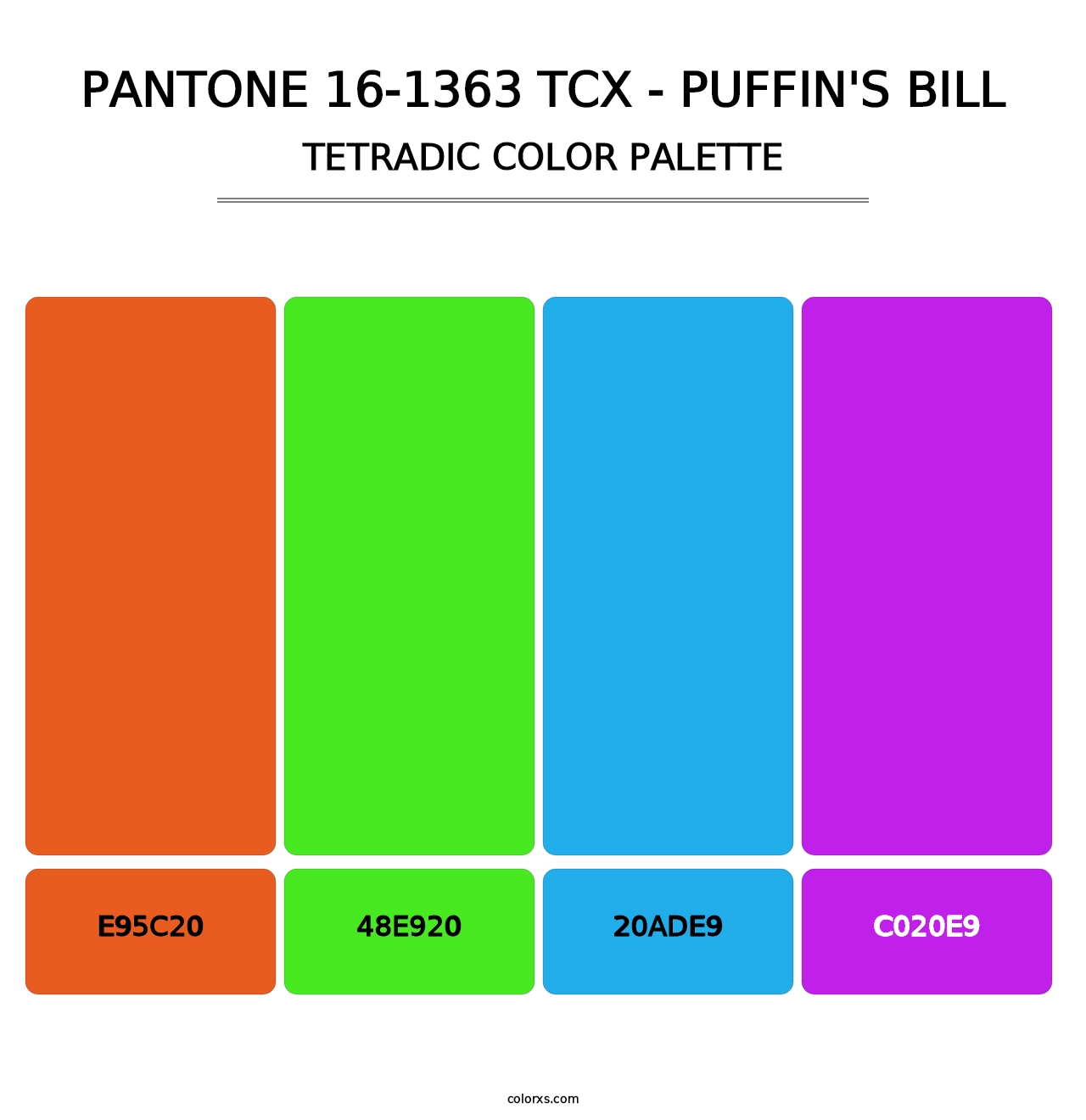 PANTONE 16-1363 TCX - Puffin's Bill - Tetradic Color Palette