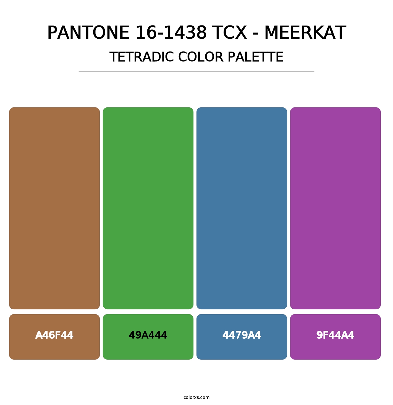 PANTONE 16-1438 TCX - Meerkat - Tetradic Color Palette