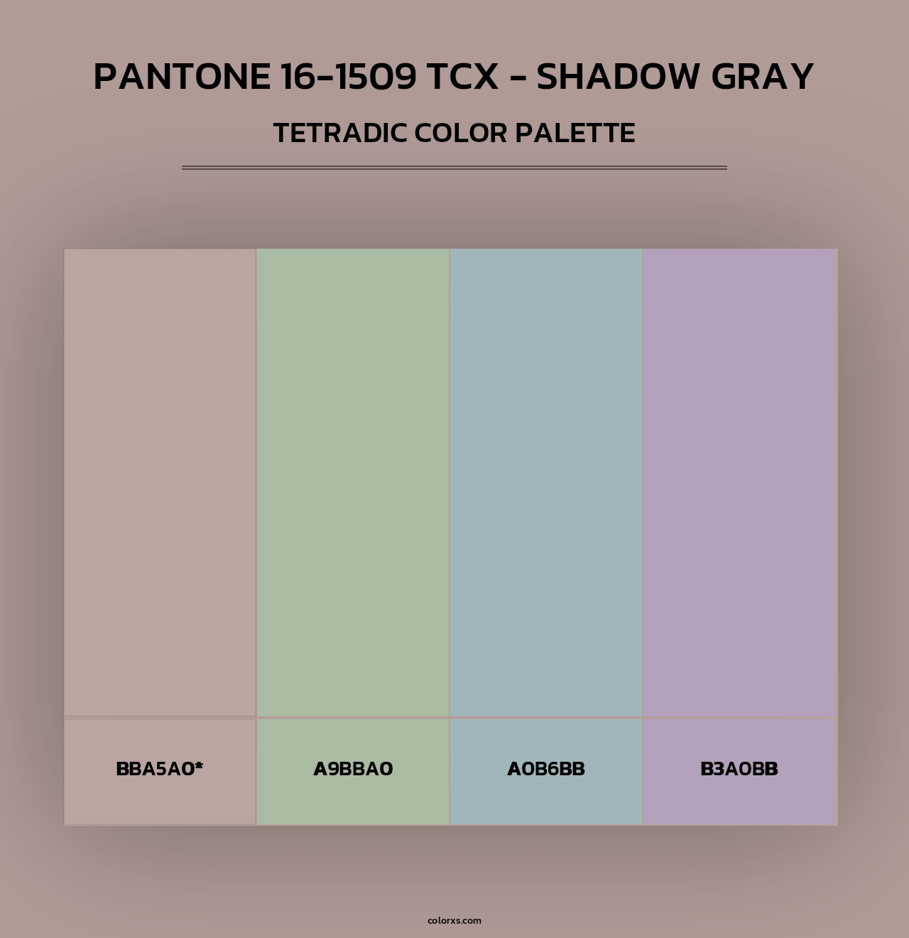 PANTONE 16-1509 TCX - Shadow Gray - Tetradic Color Palette