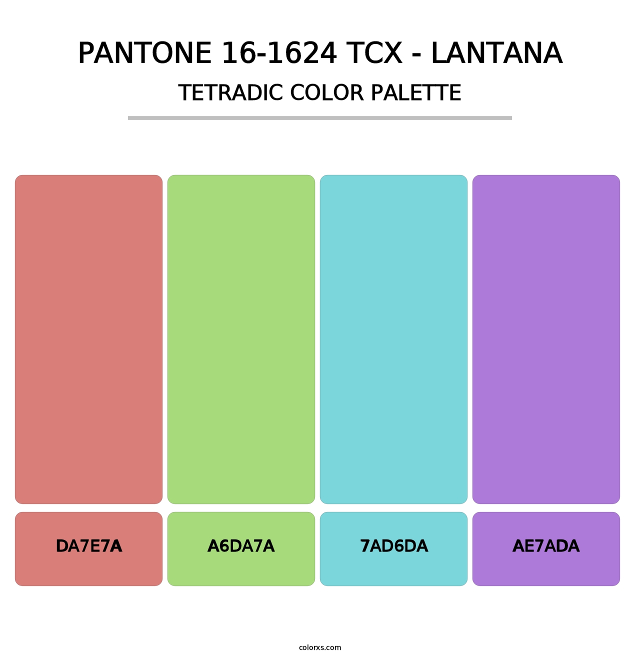PANTONE 16-1624 TCX - Lantana - Tetradic Color Palette