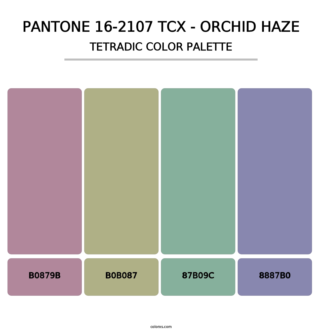 PANTONE 16-2107 TCX - Orchid Haze - Tetradic Color Palette