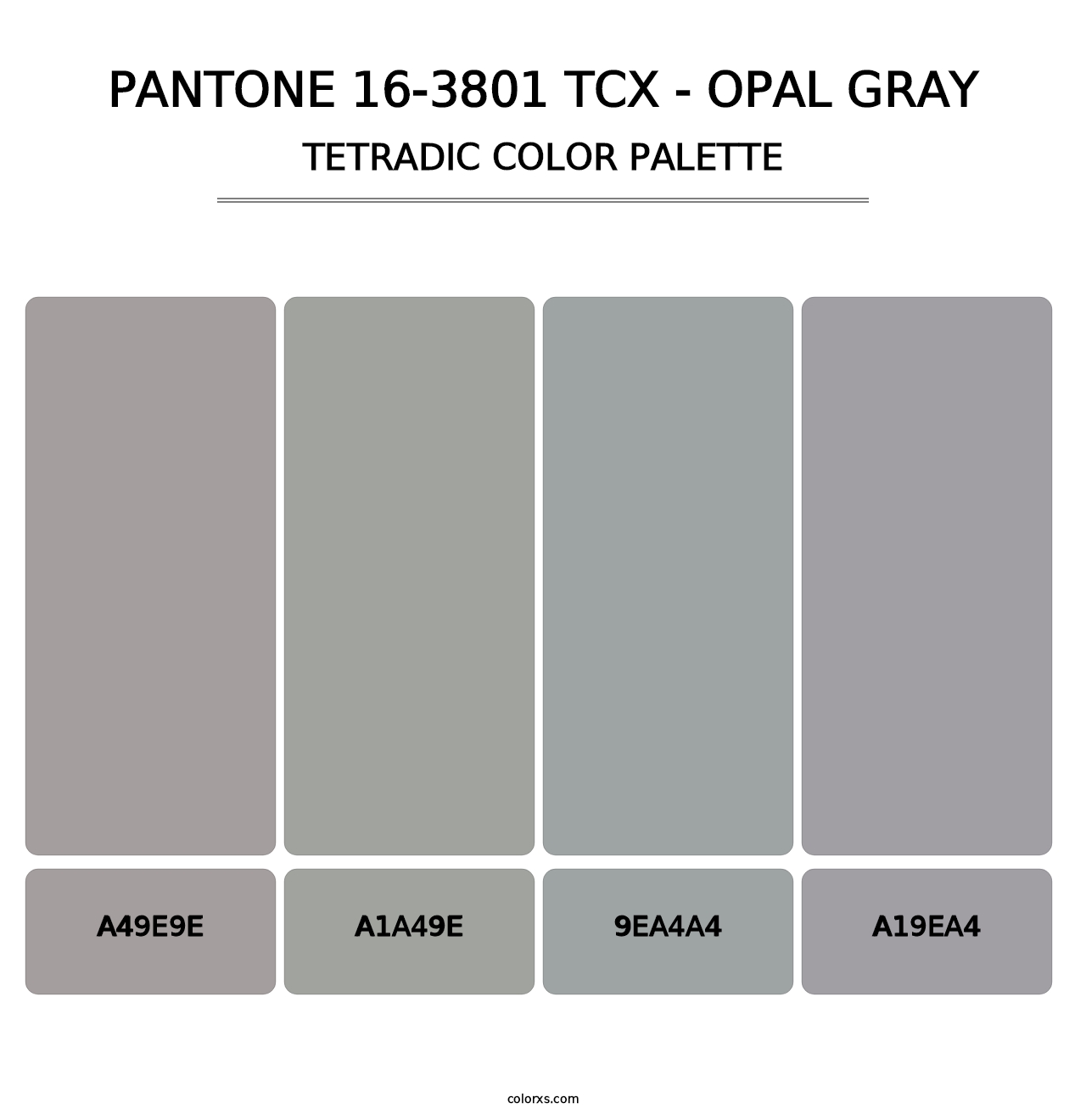 PANTONE 16-3801 TCX - Opal Gray - Tetradic Color Palette