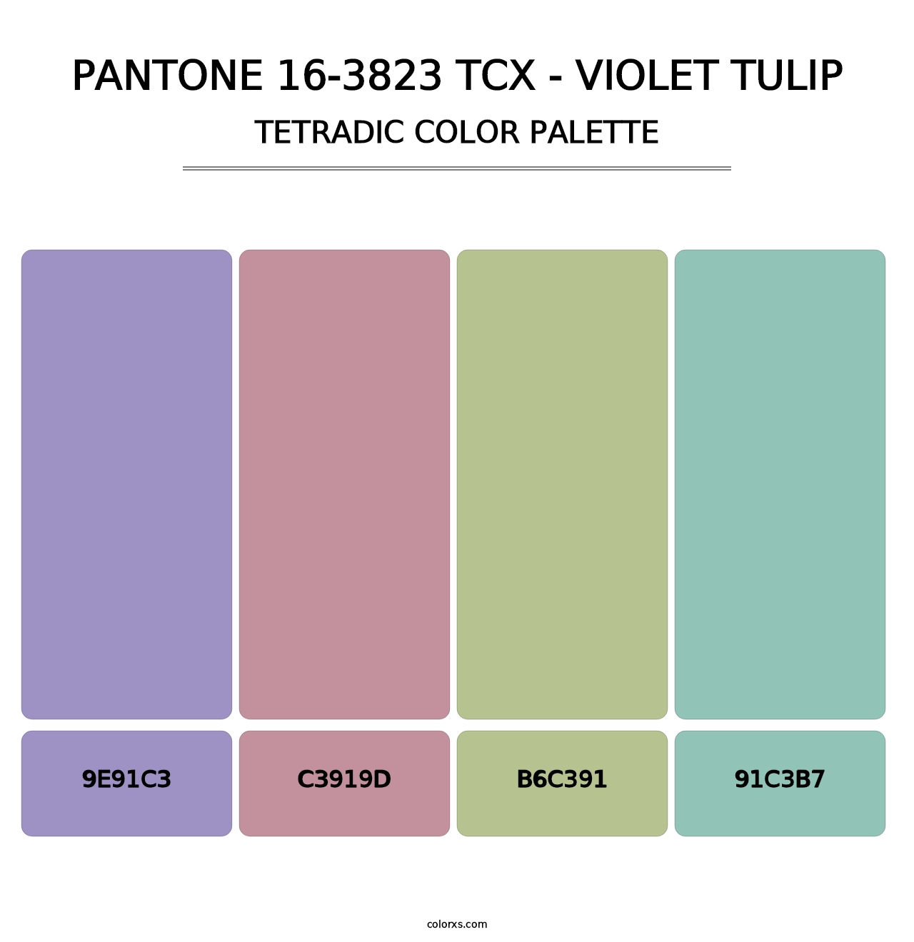PANTONE 16-3823 TCX - Violet Tulip - Tetradic Color Palette
