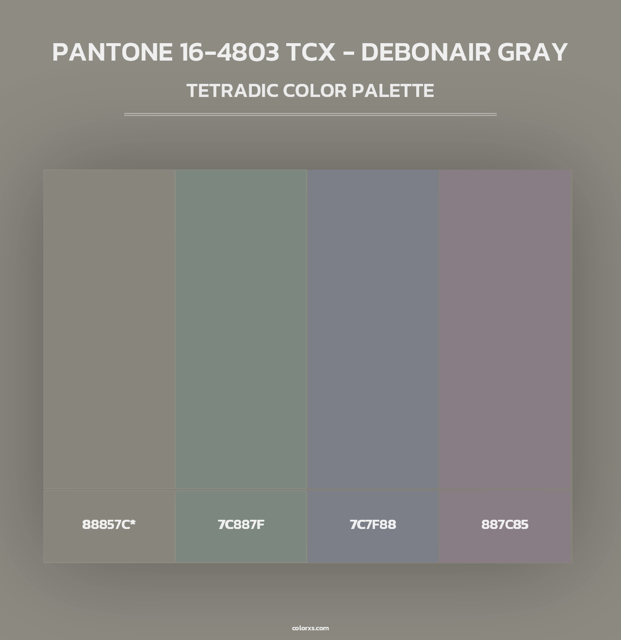 PANTONE 16-4803 TCX - Debonair Gray - Tetradic Color Palette