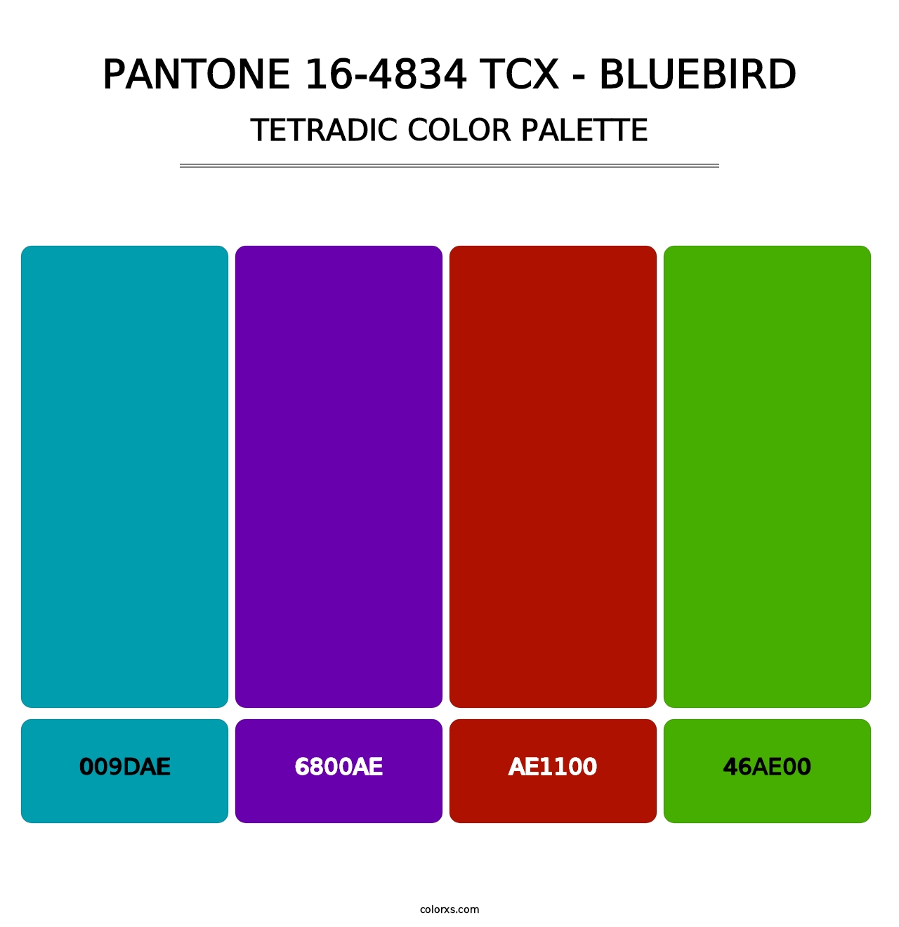 PANTONE 16-4834 TCX - Bluebird - Tetradic Color Palette