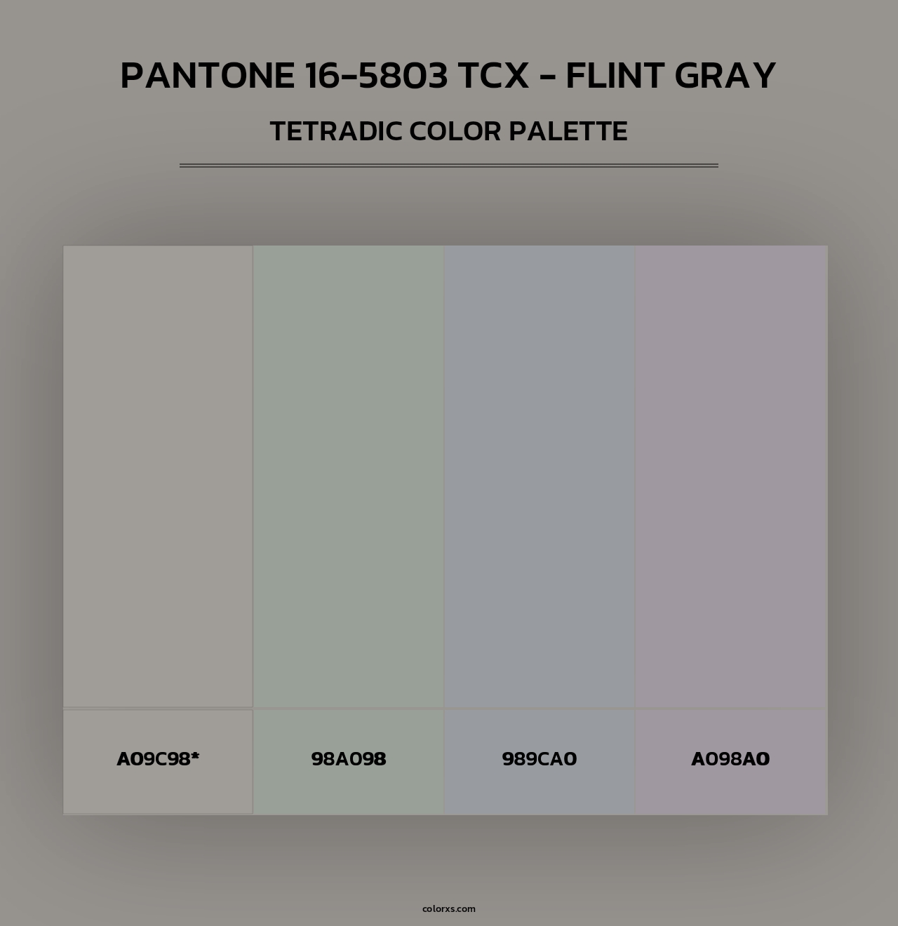 PANTONE 16-5803 TCX - Flint Gray - Tetradic Color Palette