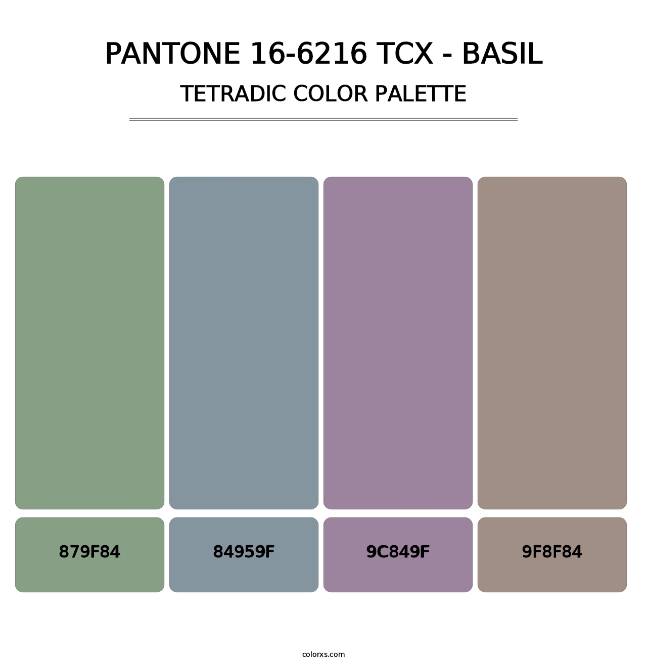 PANTONE 16-6216 TCX - Basil - Tetradic Color Palette