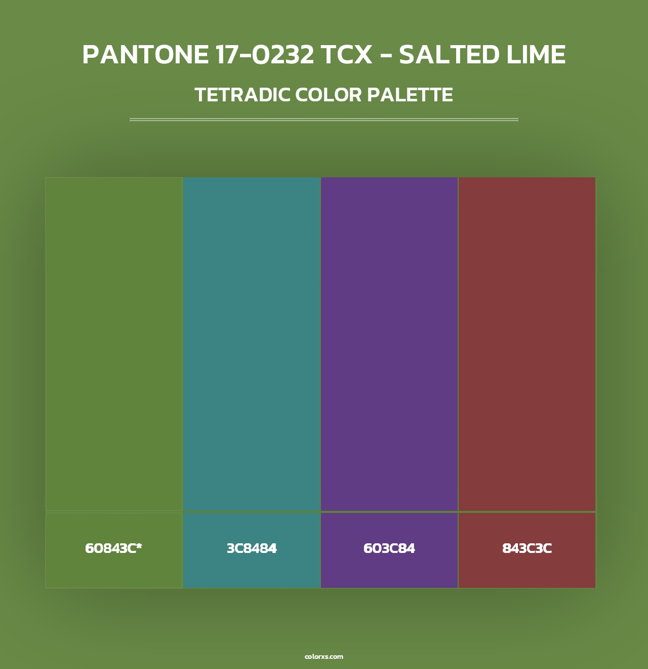 PANTONE 17-0232 TCX - Salted Lime - Tetradic Color Palette