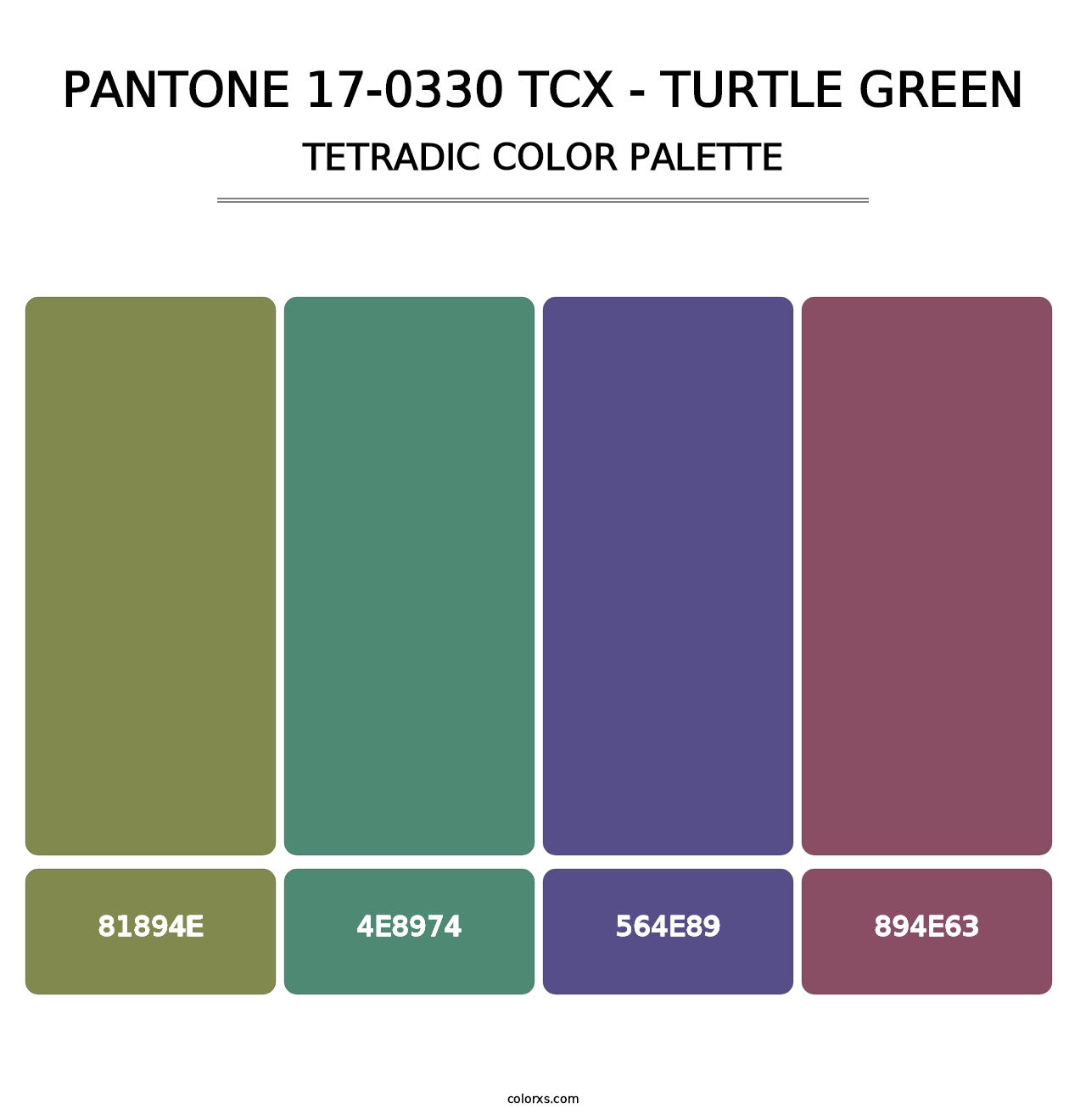 PANTONE 17-0330 TCX - Turtle Green - Tetradic Color Palette