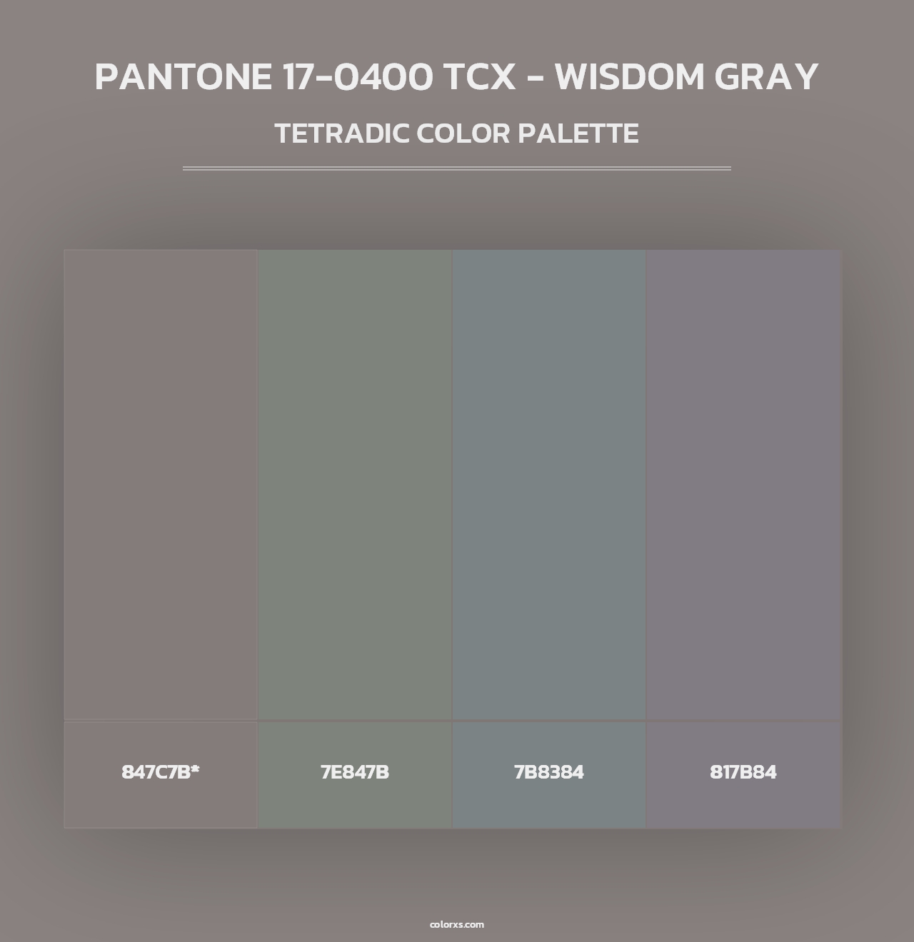 PANTONE 17-0400 TCX - Wisdom Gray - Tetradic Color Palette