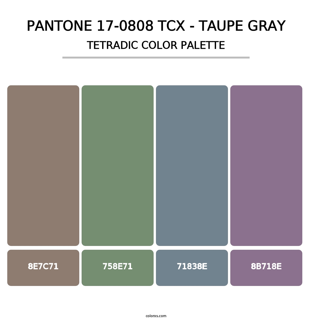 PANTONE 17-0808 TCX - Taupe Gray - Tetradic Color Palette