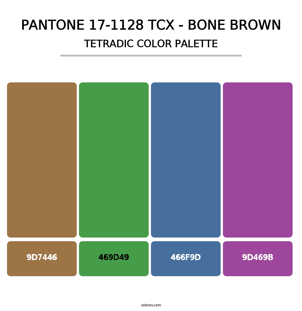 PANTONE 17-1128 TCX - Bone Brown - Tetradic Color Palette