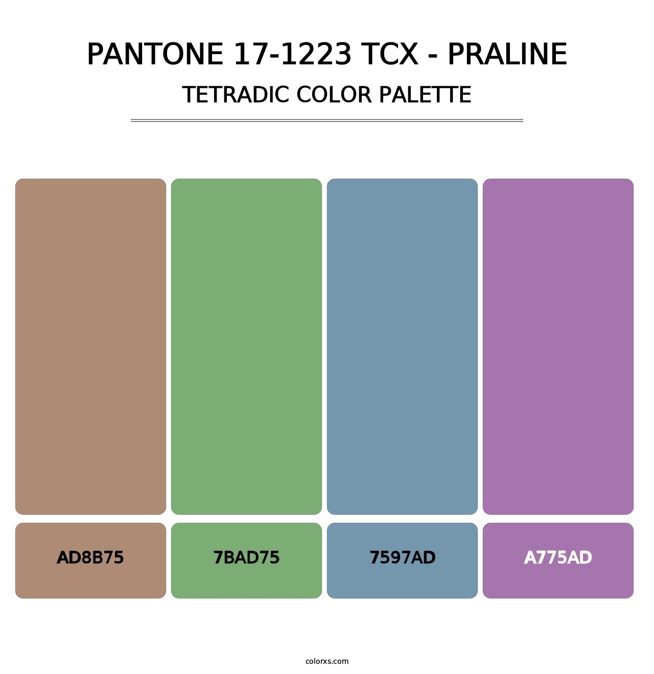 PANTONE 17-1223 TCX - Praline - Tetradic Color Palette