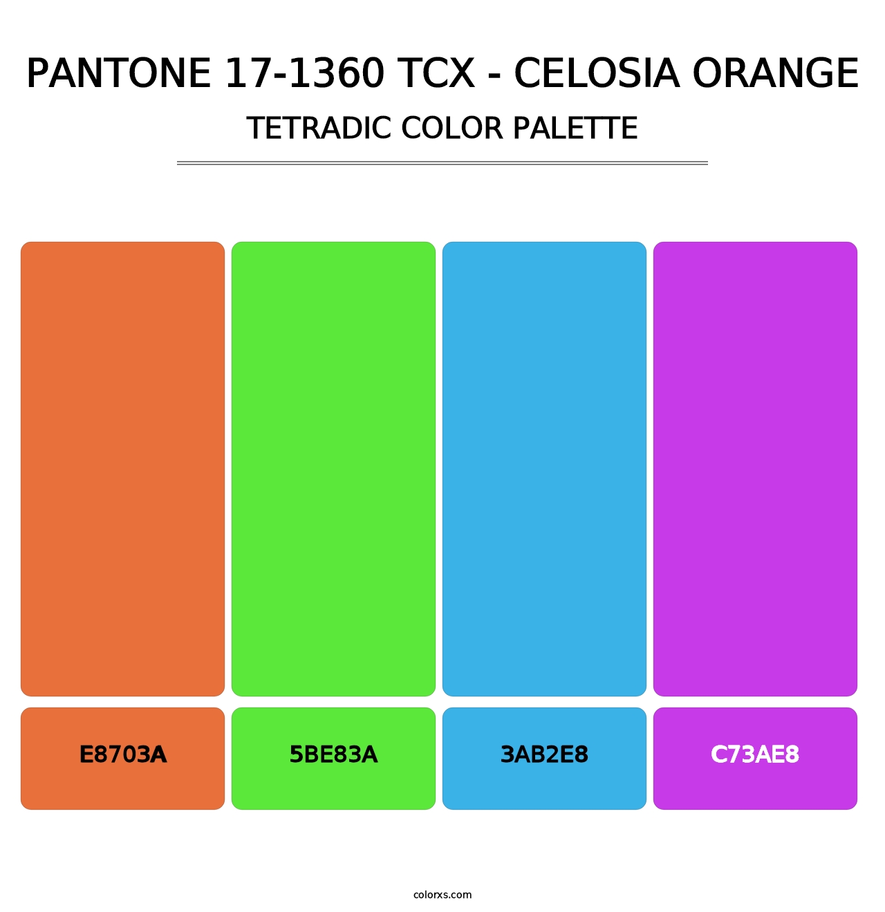 PANTONE 17-1360 TCX - Celosia Orange - Tetradic Color Palette