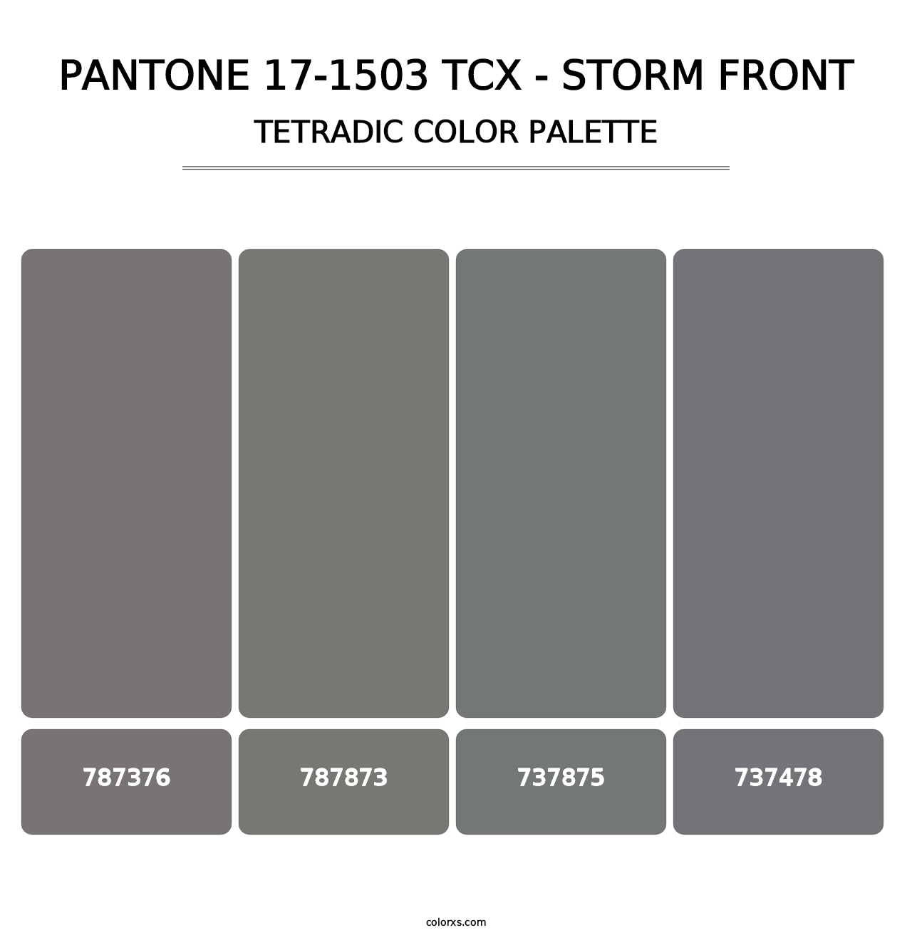 PANTONE 17-1503 TCX - Storm Front - Tetradic Color Palette