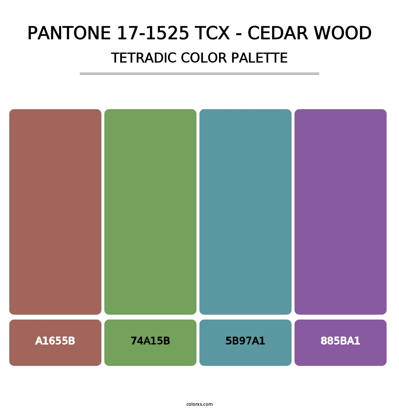 PANTONE 17-1525 TCX - Cedar Wood - Tetradic Color Palette