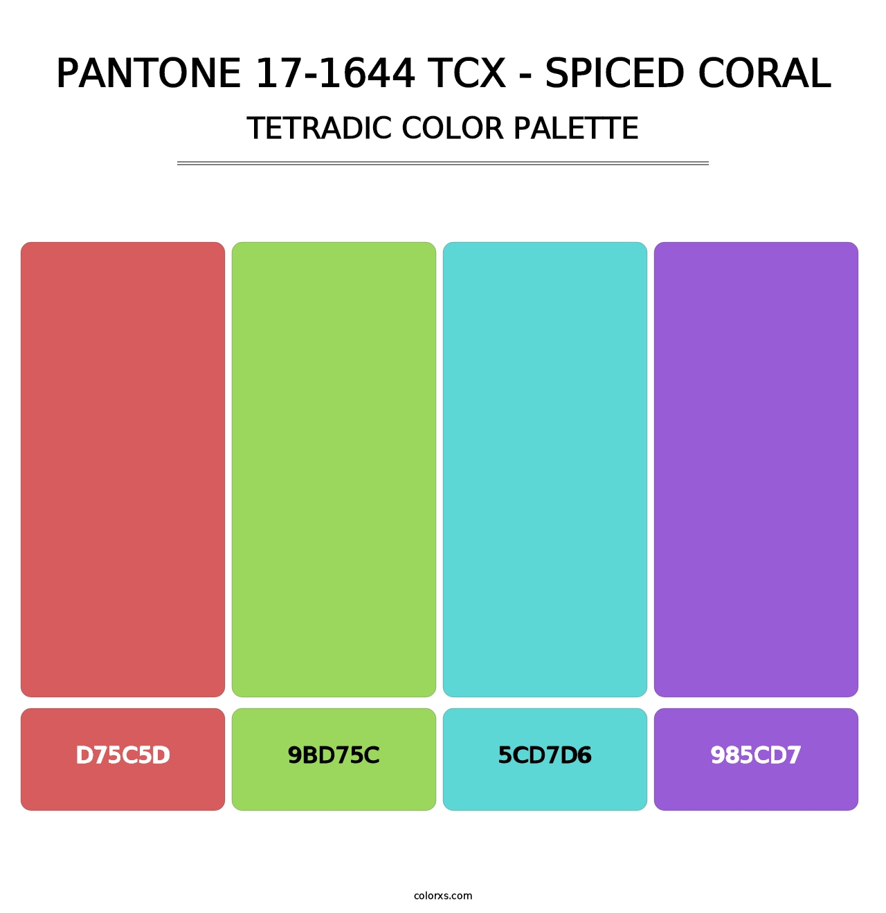 PANTONE 17-1644 TCX - Spiced Coral - Tetradic Color Palette