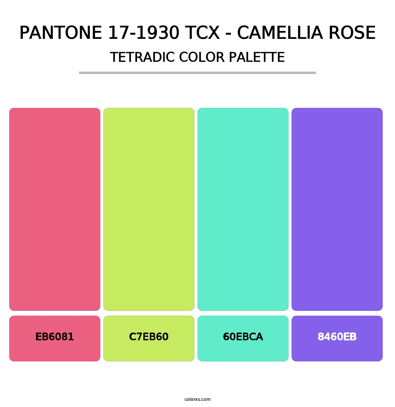 PANTONE 17-1930 TCX - Camellia Rose - Tetradic Color Palette