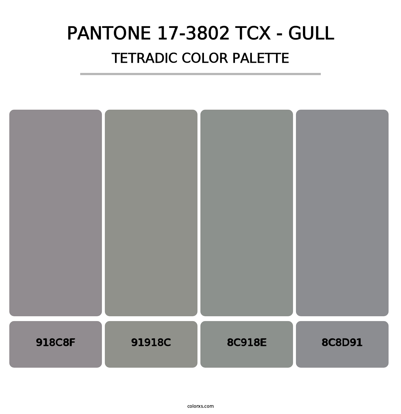 PANTONE 17-3802 TCX - Gull - Tetradic Color Palette