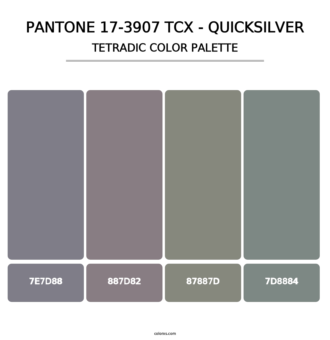 PANTONE 17-3907 TCX - Quicksilver - Tetradic Color Palette