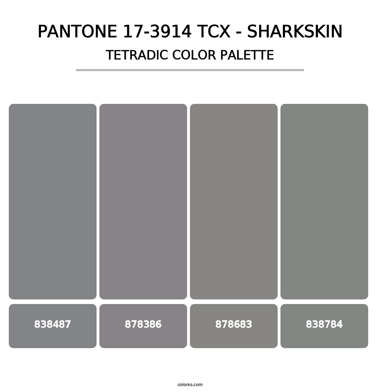 PANTONE 17-3914 TCX - Sharkskin - Tetradic Color Palette