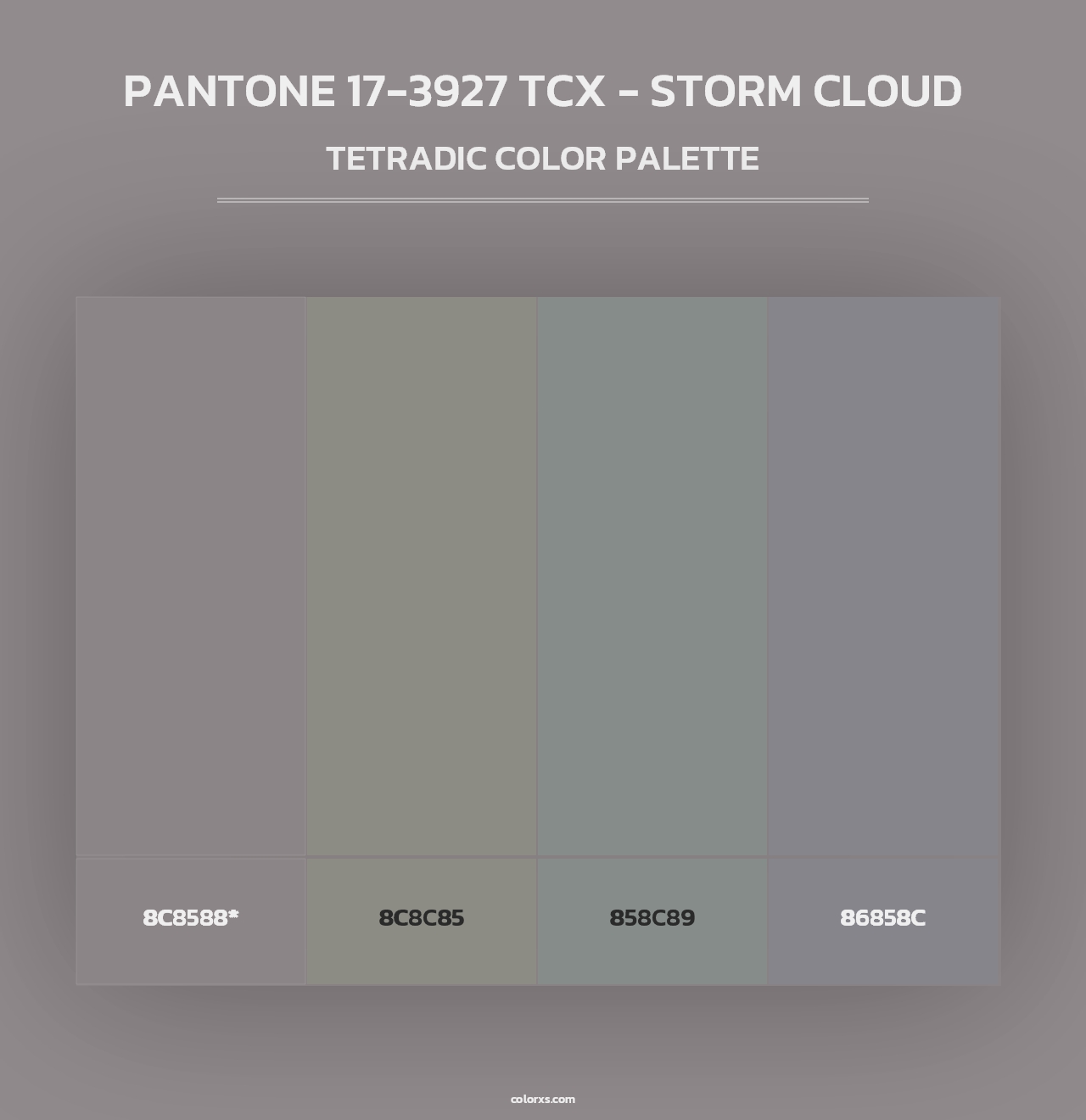 PANTONE 17-3927 TCX - Storm Cloud - Tetradic Color Palette