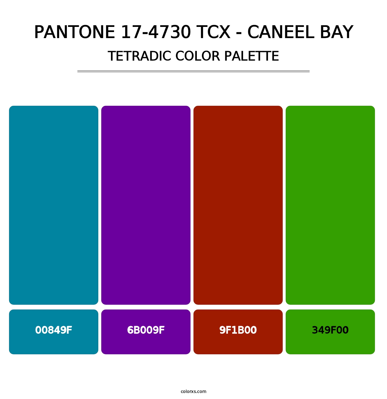 PANTONE 17-4730 TCX - Caneel Bay - Tetradic Color Palette