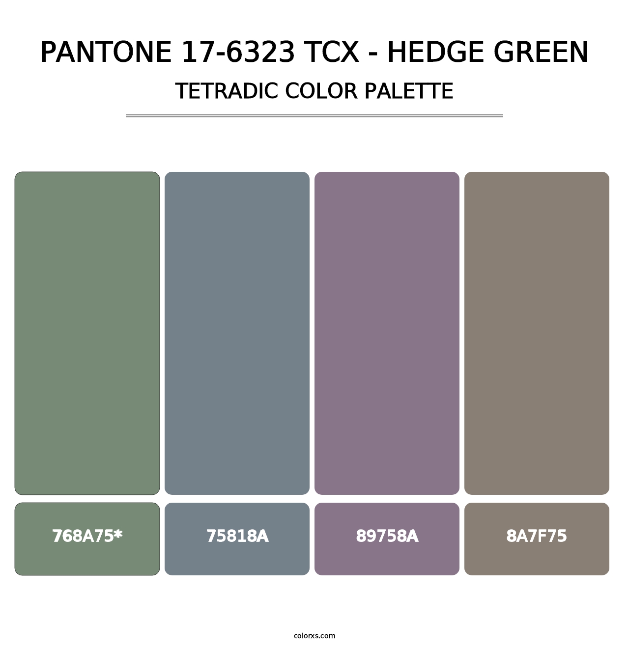 PANTONE 17-6323 TCX - Hedge Green - Tetradic Color Palette