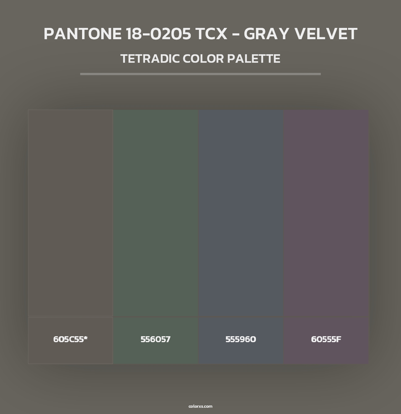 PANTONE 18-0205 TCX - Gray Velvet - Tetradic Color Palette