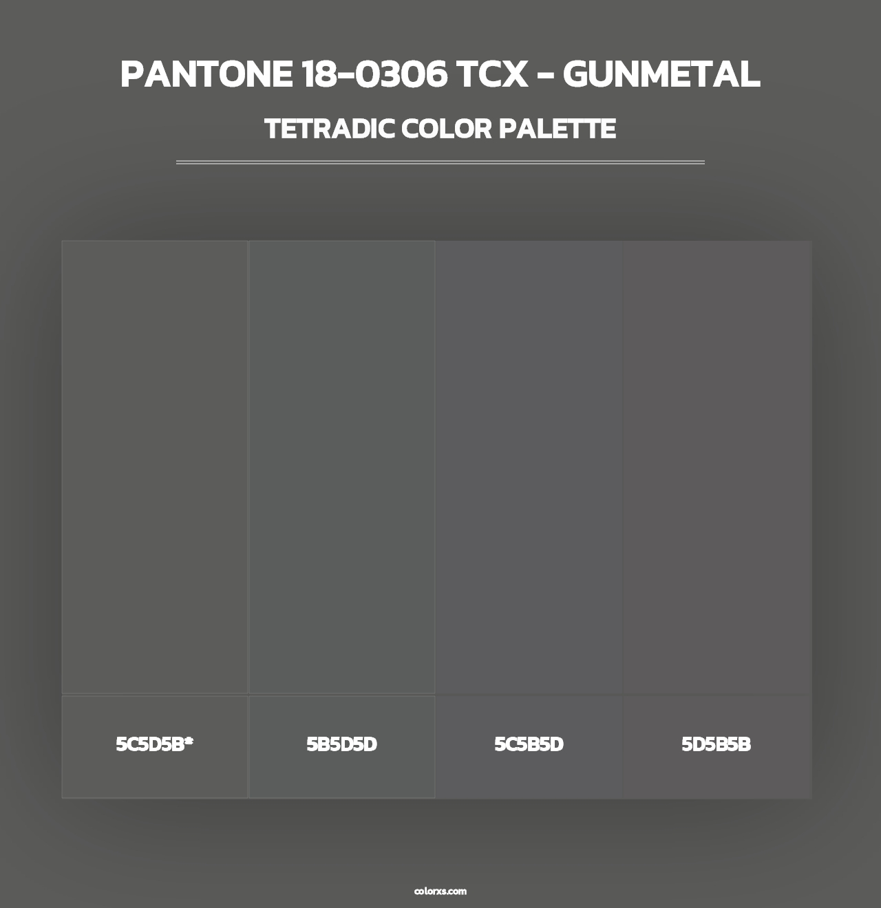 PANTONE 18-0306 TCX - Gunmetal - Tetradic Color Palette