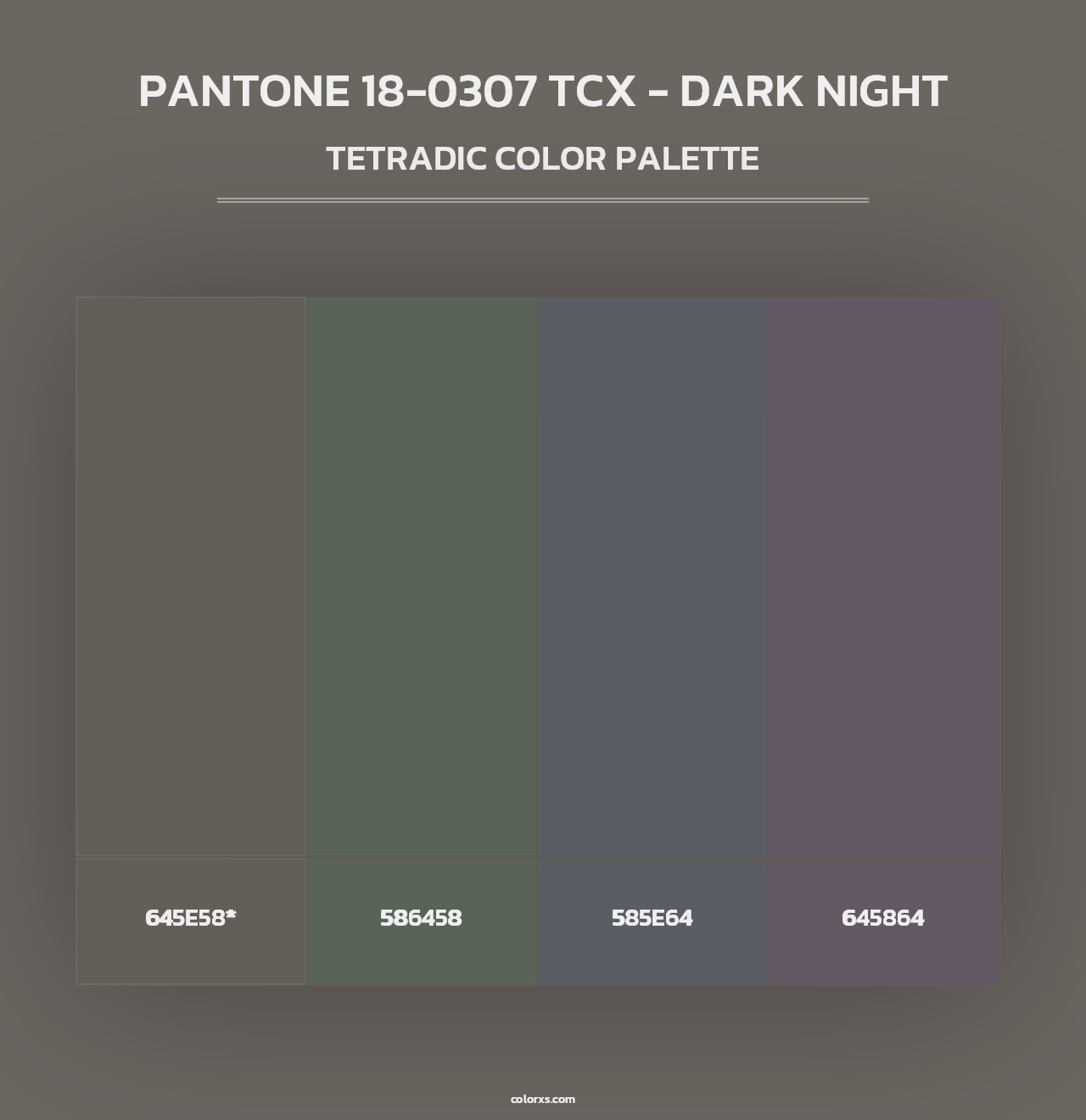 PANTONE 18-0307 TCX - Dark Night - Tetradic Color Palette