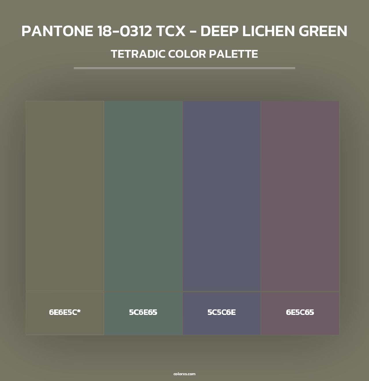 PANTONE 18-0312 TCX - Deep Lichen Green - Tetradic Color Palette