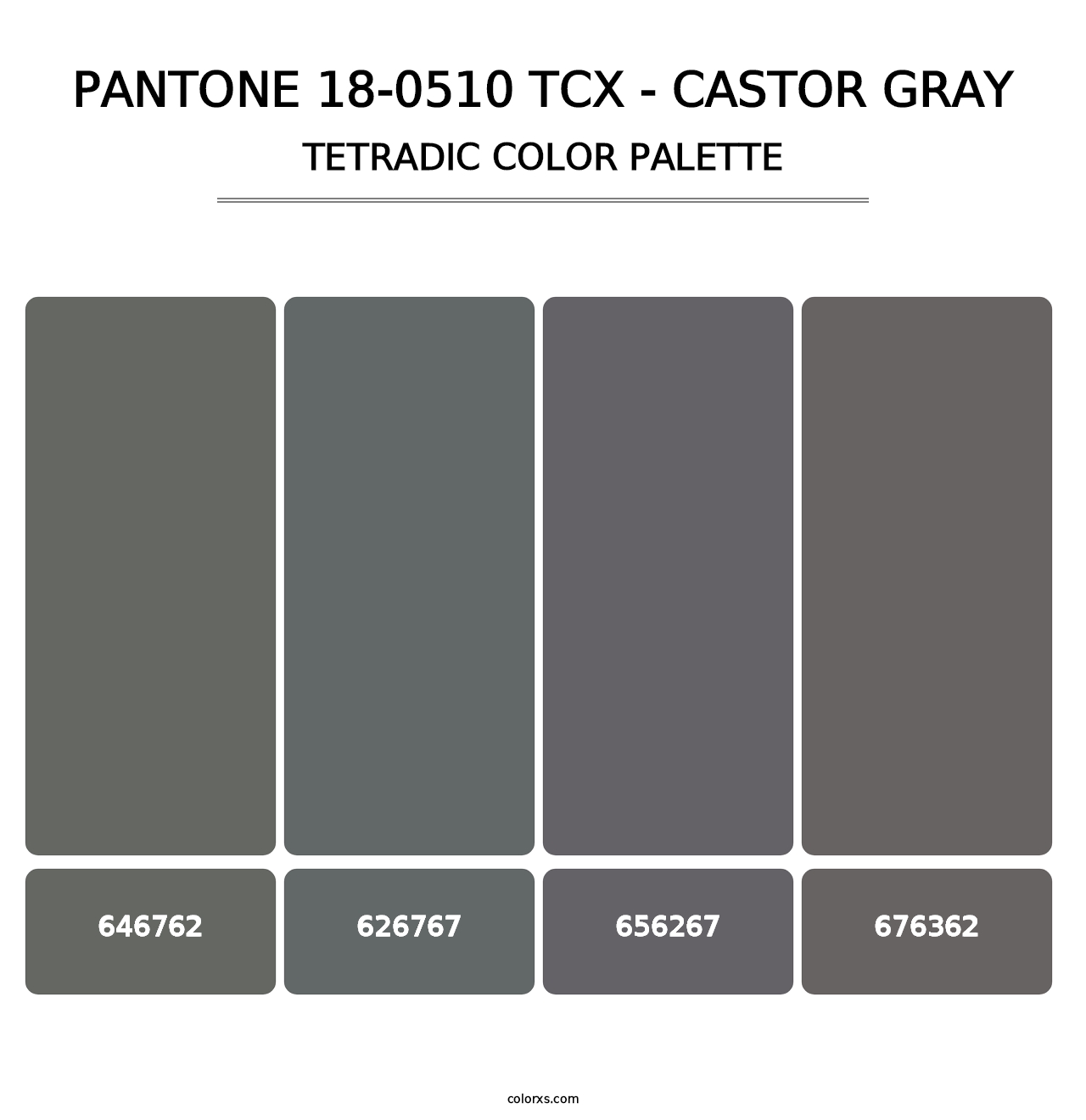 PANTONE 18-0510 TCX - Castor Gray - Tetradic Color Palette