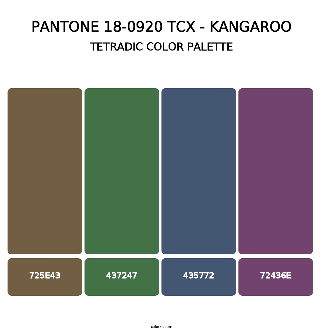 PANTONE 18-0920 TCX - Kangaroo - Tetradic Color Palette