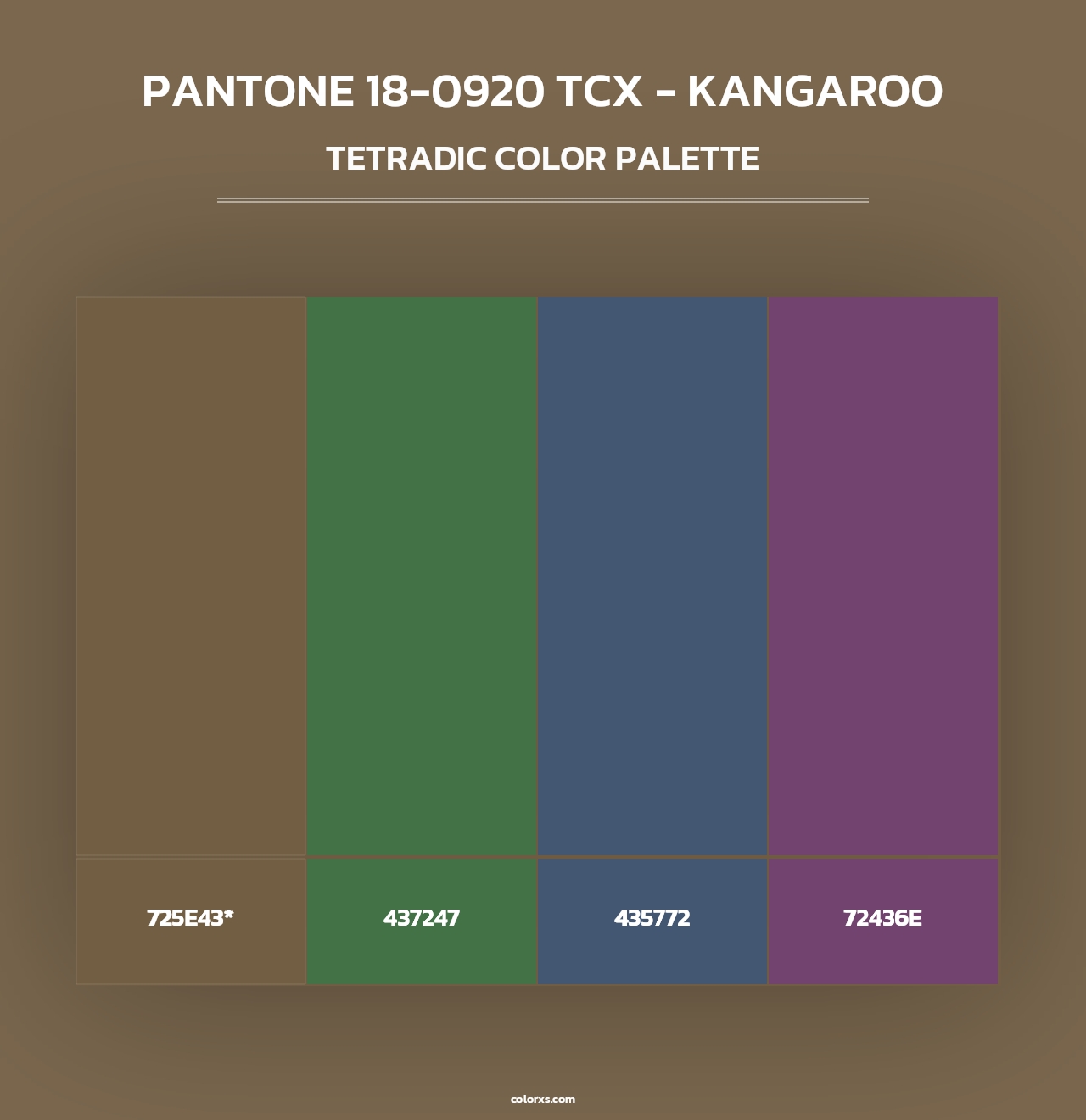 PANTONE 18-0920 TCX - Kangaroo - Tetradic Color Palette