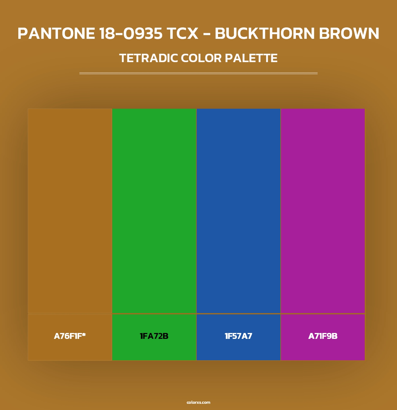 PANTONE 18-0935 TCX - Buckthorn Brown - Tetradic Color Palette