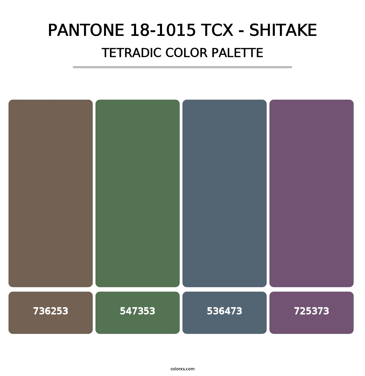 PANTONE 18-1015 TCX - Shitake - Tetradic Color Palette